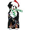 thumbnail image 3 of CafePress - Christmas Bernese Mt Holiday Dog Mugs - 15 oz Ceramic Large White Novelty Mug, 3 of 4