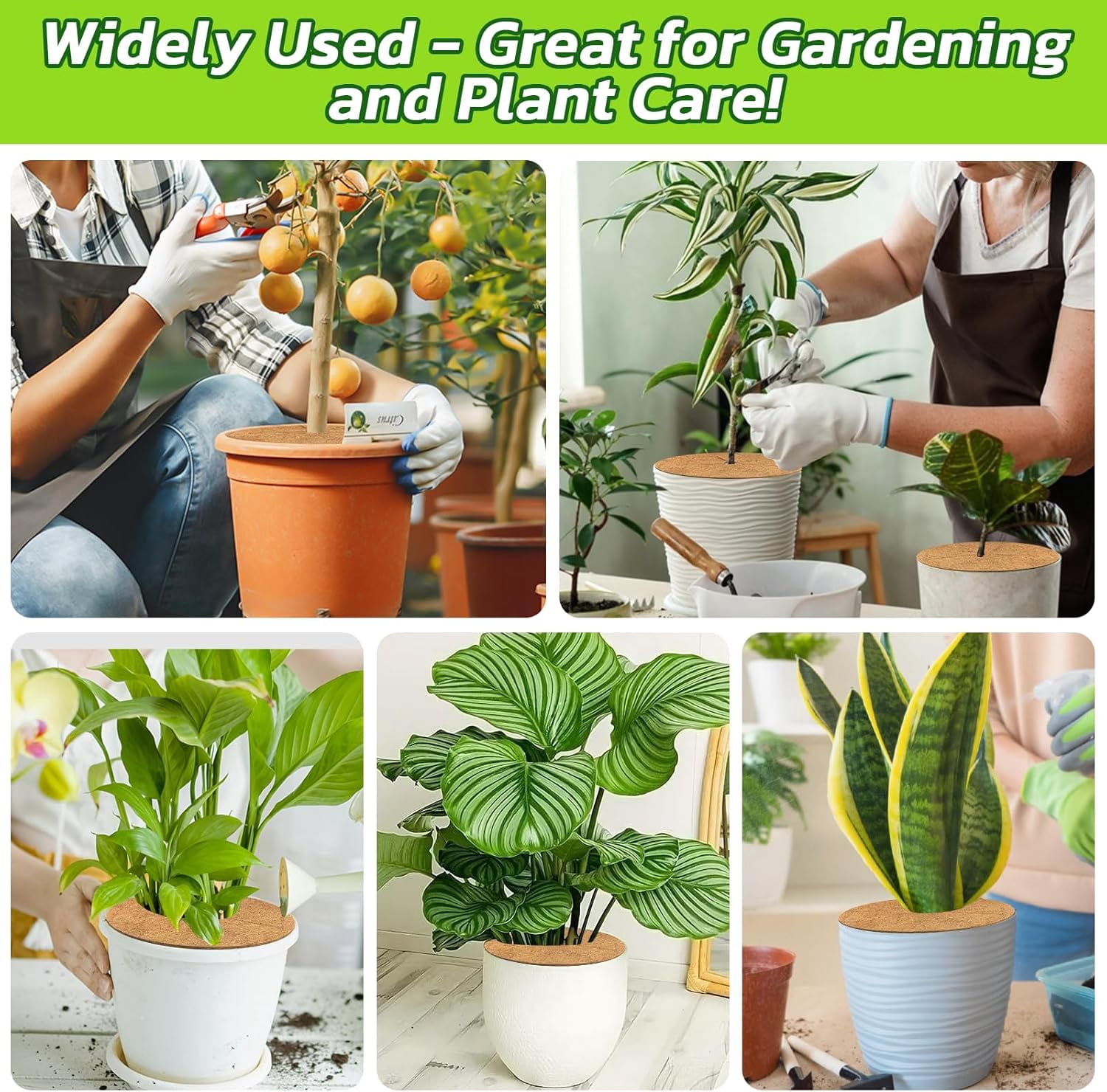 4pcs Coconut Fiber Mulch Ring Tree Plant Protector Mat, 14 Inch Natural Coco Coir Tree Mulch Ring Plant Pot Soil Covers, Tree Rings Disc Plant Cover for Indoor Outdoor Plants