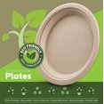 thumbnail image 3 of 100% Compostable Paper Plates Heavy Duty AFN1- 100 Disposable Plates - 9” Brown Disposable Dinner Plates Made of Eco-Friendly, Natural Unbleached Sugarcane Bagasse, Microwavable Plates, 3 of 3