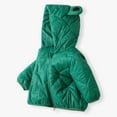 thumbnail image 4 of Baby Boys Winter Coat,Little Boys Girls Puffer Coat Cute Bear Ear Hooded Jackets With Pockets Windproof Down Jacket For Baby Girls Outerwear Coats Winter Clothes 6-9 Months, 4 of 8