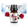 thumbnail image 1 of Aromaterapia Aceite soluble en agua Aromaterapia adecuada para humidificador 10 ml, 1 of 3