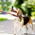 thumbnail image 6 of Dog Slip Leash Strap Rope Dog Training Leash Strong Slip Standard Adjustable Traction Collar Pet Nylon Leash For Small Medium Dogs,Red,S, 6 of 7
