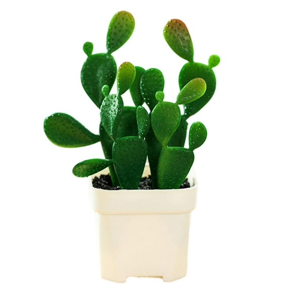 Artificial Cactus Bonsai Artificial Tropical Plants Creative Decorations