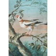 thumbnail image 2 of Christoph Ludwig Agricola 18x24 Gold Ornate Framed and Double Matted Museum Art Print Titled - A Bird on a Branch, 2 of 4