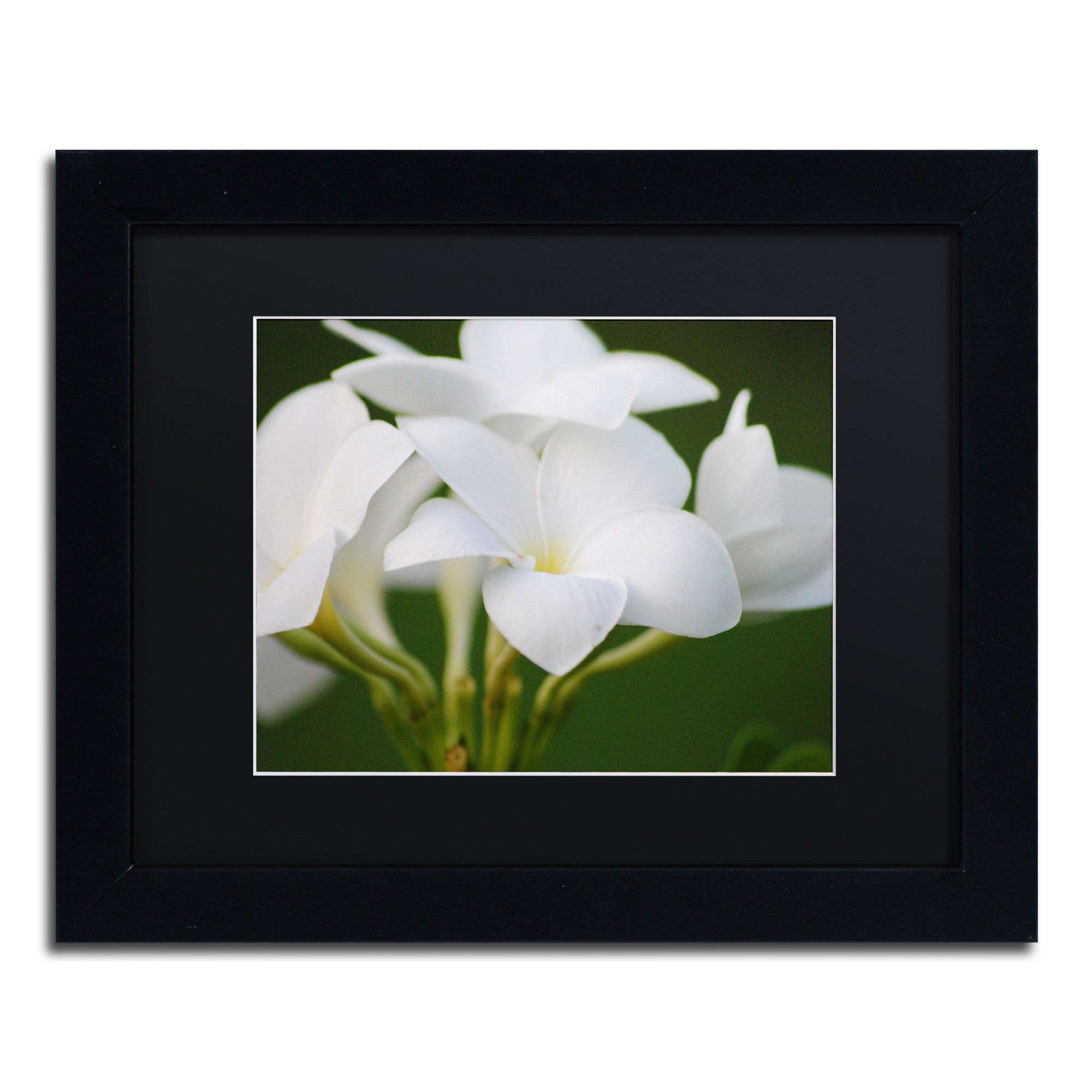 Trademark Fine Art "Picture Perfect" Canvas Art by Monica Mize, Black Matte, Black Frame