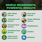 Balance One Liver Support with Milk Thistle & Artichoke, 30 Day Supply