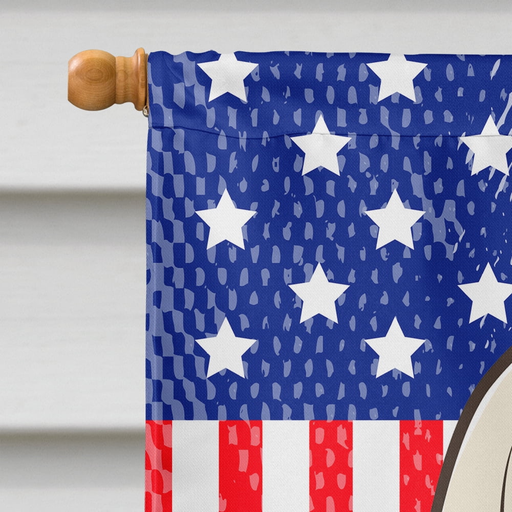 Caroline's Treasures BB2174CHF God Bless American Flag with Afghan Hound Flag Canvas House Size , Large, multicolor