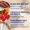 thumbnail image 5 of Dr Teal's Hawaiian Bliss Epsom Salt Magnesium Soak, Red Sea Salt, Papaya & Hibiscus, 3 lbs, 5 of 10