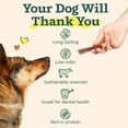 thumbnail image 3 of Bully Sticks Dog Treats - Long-Lasting Chew Sticks for Dogs - Made with -Range Grass-Fed Beef - 12 Inch Sticks - 5 Pack, 3 of 6
