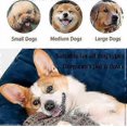 thumbnail image 3 of Indestructible Robust Dino, Interactive Dog Toys, Squeaky Dog Toys For Aggressive Chewers, 3 of 5