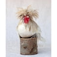 thumbnail image 3 of Soderman, Tania 12x14 Black Modern Framed Museum Art Print Titled - Rod the Rooster II, 3 of 5
