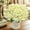 Green, variant on Ywbawe Artificial Silk Orchid Floral Sprig for Home Wedding Party Decor 1-Pack