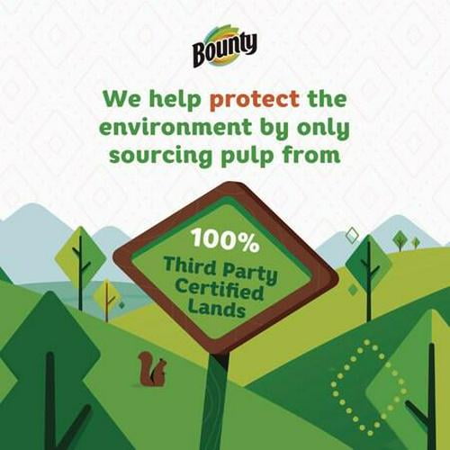 Bounty Essentials Select-A-Size Kitchen Roll Paper Towels, 2-Ply, 108 Sheets/Roll, 12 Rolls/Carton