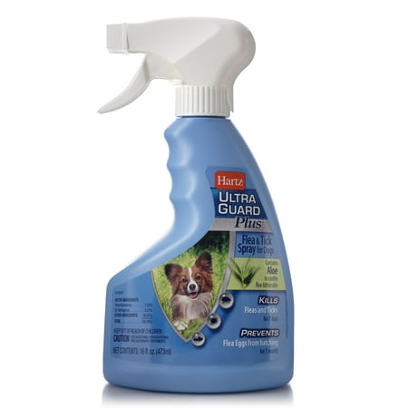 Hartz UltraGuard Plus Flea & Tick Spray with Aloe for Dogs, 16 (Best Tick Spray For Dogs)