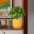 thumbnail image 2 of Ordivic 8 inch Yellow Decorative Ceramic Planter with Drainage Hole & Saucer, Medium Indoor Snake Plant Pot for African Violet, Ficus,Balcony,Hallway,Floor Decor, 2 of 8