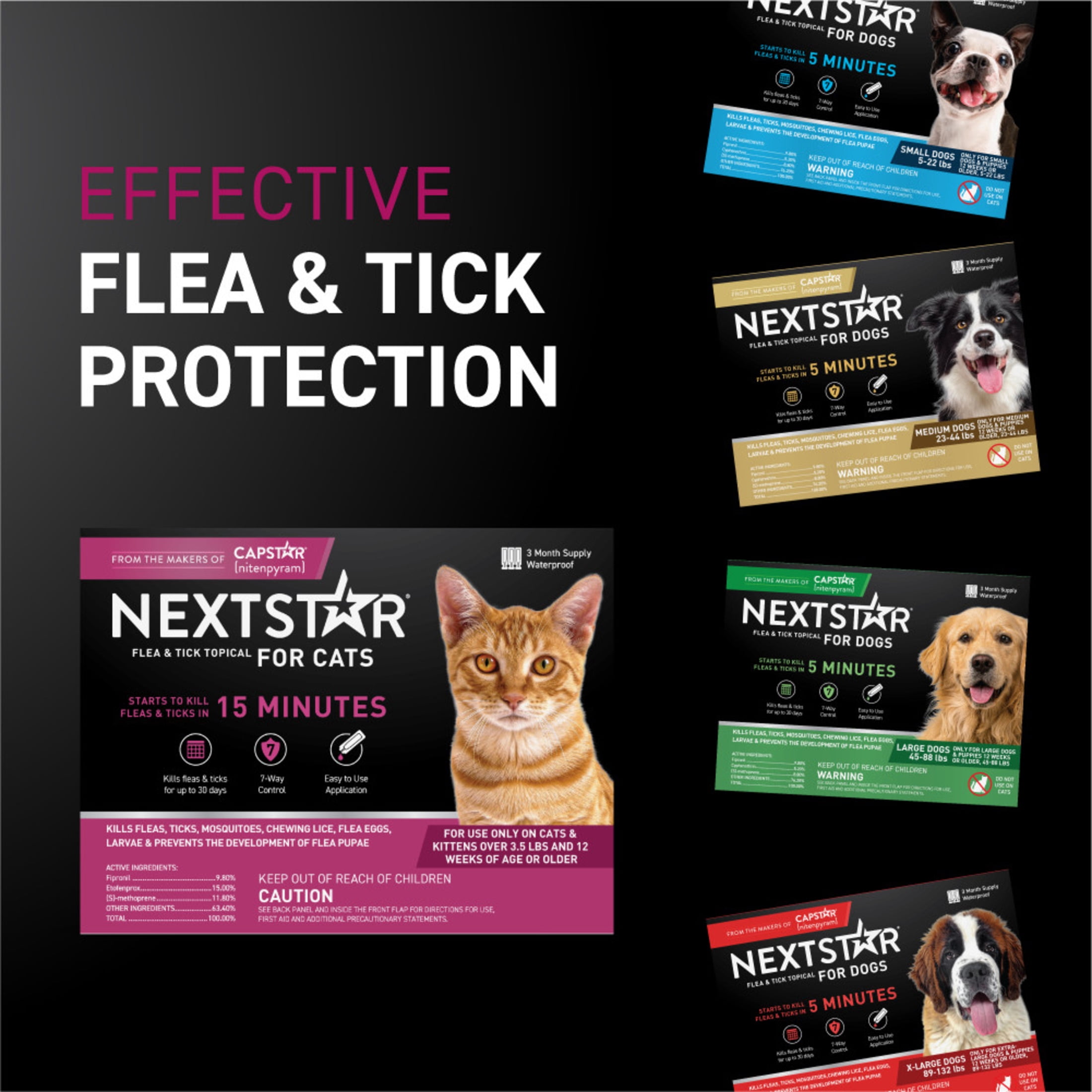 NEXTSTAR Flea & Tick Topical Prevention for Cats over 3.5 lbs, 1-Month Supply