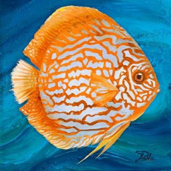 Vibrant Sea Life Ii