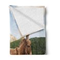 thumbnail image 2 of Donkey Soft Flannel Fleece Throw Blanket, 2 Donkeys Standing on the Meadow in Dolomites Italy Mediterranean Countryside, Cozy Plush for Indoor and Outdoor Use, 60" x 80", Multicolor, by Ambesonne, 2 of 5