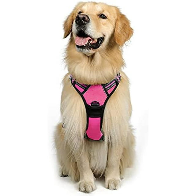 rabbitgoo Dog Harness No-Pull Pet Harness with 2 Leash Clips Adjustable Soft Padded Dog Vest Reflective No-Choke Pet Oxford Vest with Easy Control Handle for Large Dogs Orange L