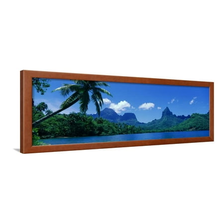 Tahiti Rocks - Lush Foliage and Rock Formations, Moorea Island, Tahiti Framed Print Wall Art
