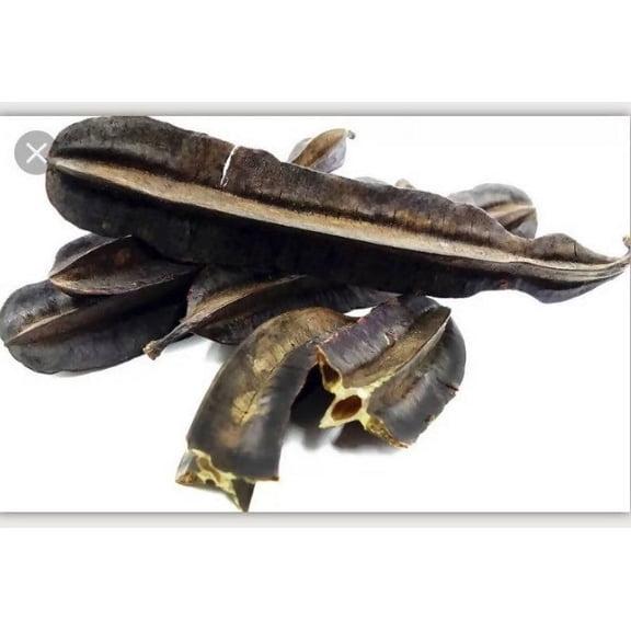 PREKESE | Aidan Fruit| Tetrapleura Tetraptera | Effu | Ghanaian Prekese (6 pieces)