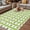 White, variant on Saint Patrick's Day Outdoor Rug for Patio/Deck/Porch, Non-Slip Large Area Rug 3 x 5 Ft, Rainbow Clovers Green Striped Dots Indoor Outdoor Rugs Washable Area Rugs, Reversible Camping Rug Carpet Runner
