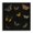 Vintage Butterfly Collection, variant on Stupell Industries Insects Group on Black Black Framed Floater Canvas Wall Art, design by Dan Meneely