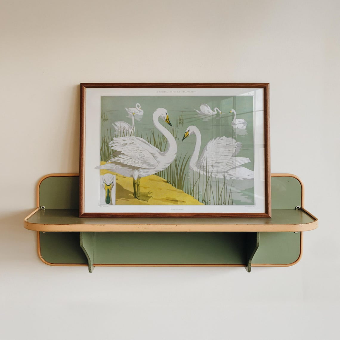 Vintage Swan Wall Art Print, Maurice Verneuil Decor, Animal Artwork Unframed Paper Print