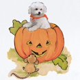 thumbnail image 2 of CafePress - Halloween Bichon Infant Bodysuit - Baby Light Bodysuit, Size Newborn - 24 Months, 2 of 4