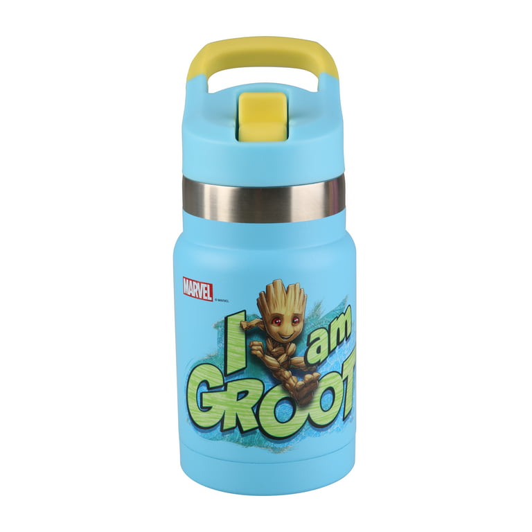 Groot 12oz DW SS Kids Water Bottle 