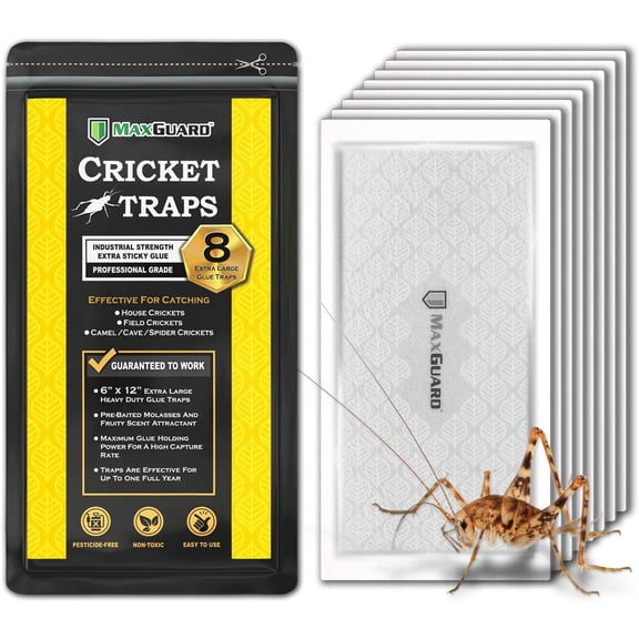 Extra Large Cricket Traps (8 Traps) | Non-Toxic Sticky Glue Board Pre-Baited Attractant Trap & Kill House Crickets, Insects, Spiders, Bugs