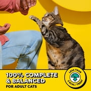 Temptations Cat Treats Classic Crunchy and Soft Cat Treats, Tasty Chicken Flavor, 6.3 oz. Pouch