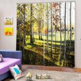 thumbnail image 3 of Paisajes Impreso Cortinas Elegante de Multicolores Duradero - Bosque de cipreses, 65x59 pulgadas Sunnimix Cortinas De Ventana De Baño, 3 of 8