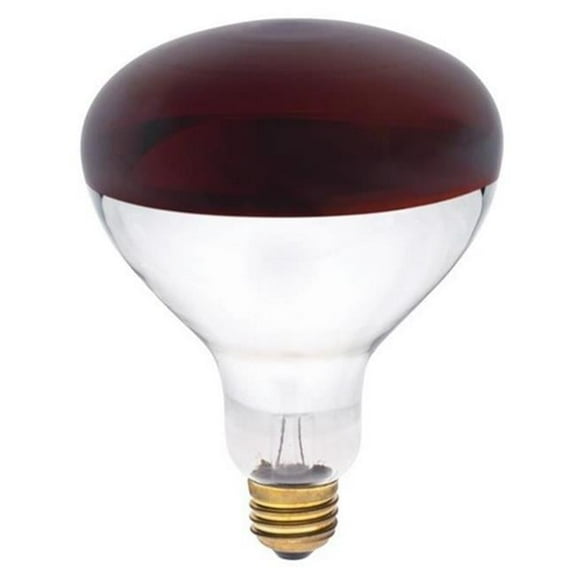 391700 250 watt R40 Incandescent Light Bulb, Red