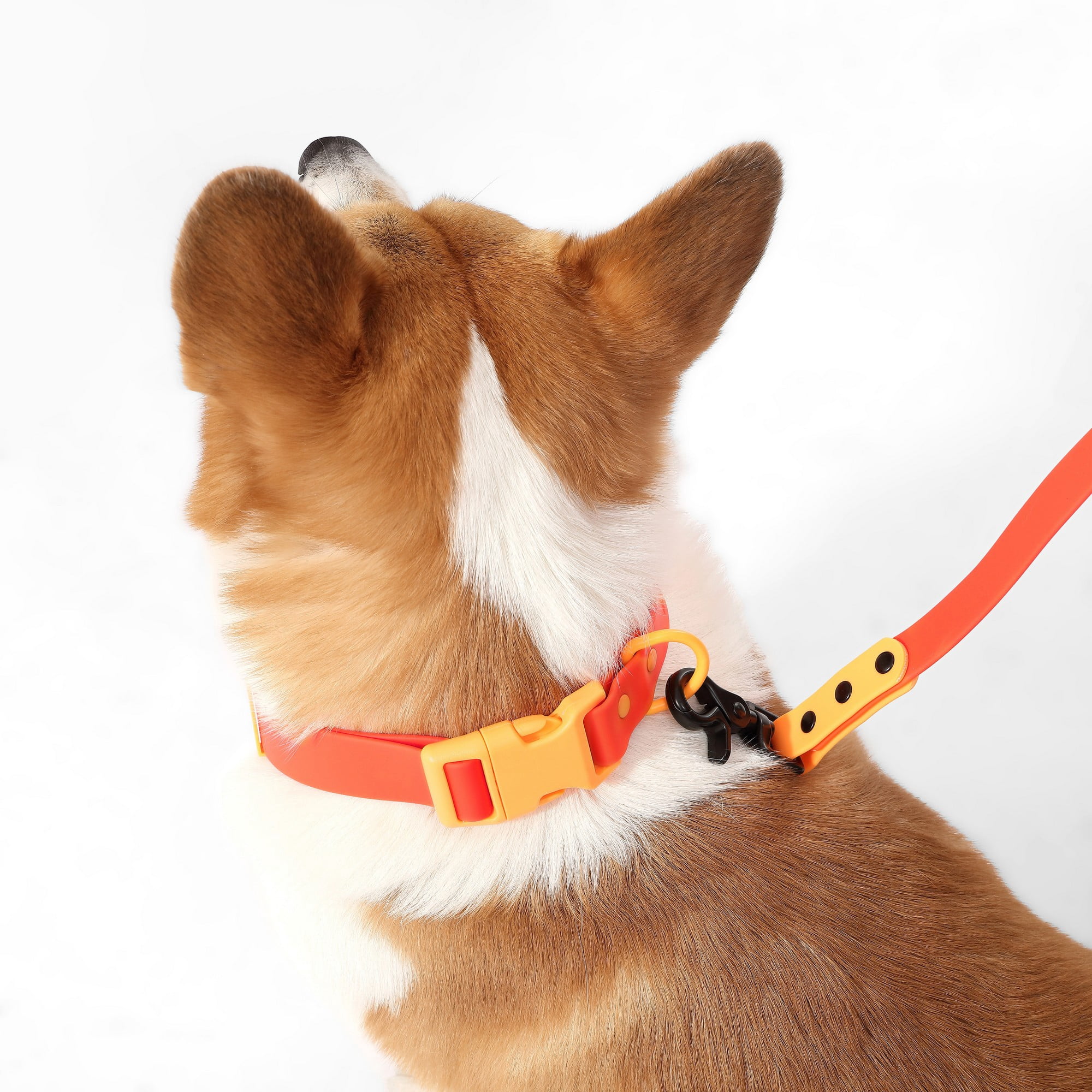 THE LICKER STORE Luna Medium 8FT Adjustable 6-in-1 Waterproof Hands-Free Leash and Collar with LED Flashlight, Bag Dispenser, and Poop Bag Holder, Dark Orange/Light Orange, WLK1005A-5SET