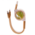thumbnail image 1 of Planta de hoja de naturaleza tierna foto Cable de carga telescópico múltiples USB tres en uno, 1 of 3