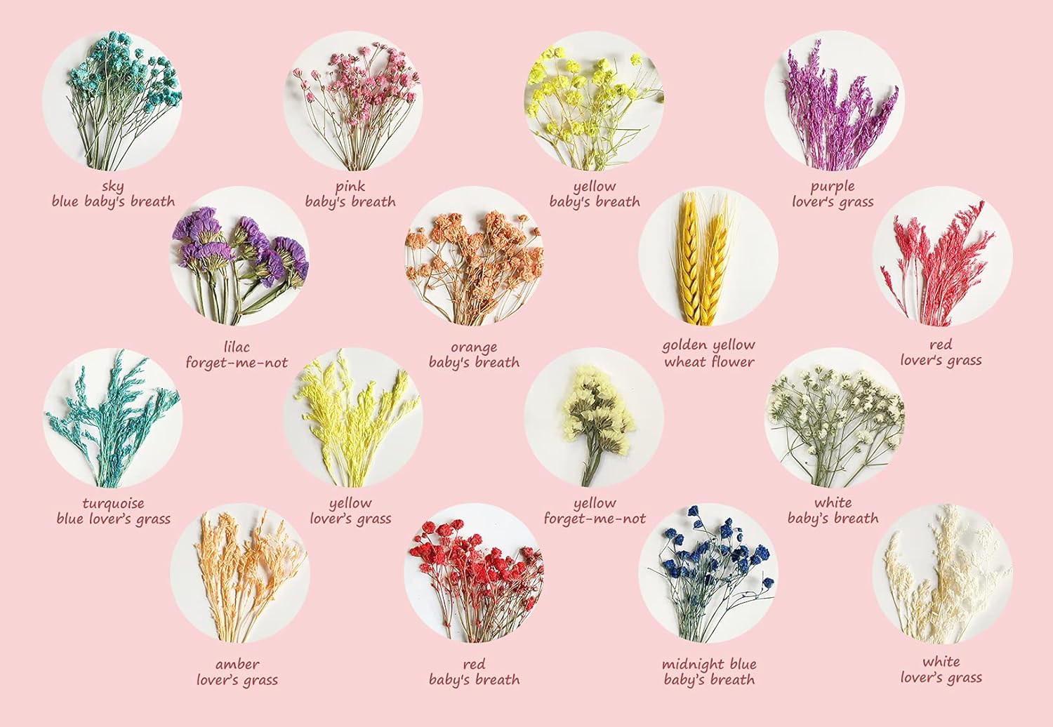 Handmade Real Flower Greeting Cards For All Occasions With Envelopes, Great For Personalized Thinking of You Cards, Unique Thank You Cards, Cute Note Cards