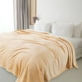 thumbnail image 6 of Yeciiwht Super Soft Warm Solid Warm Fleece Blanket, Comforter Blankets Twin/Twin XL, Reversible Lightweight Microfiber All Season Blanket, 39x59in, 6 of 6