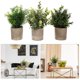 thumbnail image 4 of unbranded 3Ud Plantas Artificiales Realistas Bonsái Y Falso Para De Oficina Y Hogar, 4 of 6