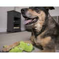 thumbnail image 5 of Hear Doggy! Flattie Gator Plush Dog Toy with Chew Guard Technology™, Green, 5 of 11
