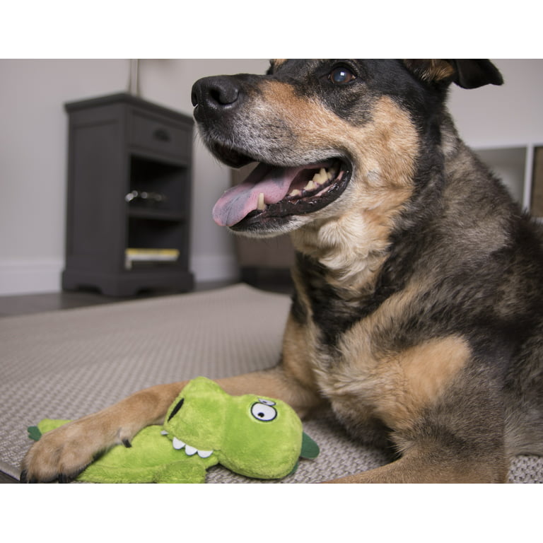 HEAR DOGGY!® Flattie Gator with Chew Guard Technology? and Silent Squeak  Technology? Plush Dog Toy 