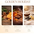 thumbnail image 4 of Air Jungles Hanging Car Air Freshener Diffuser 3 Ct, Golden Holiday Scent of Citrus Amber Vanilla, Long Lasting Up to 150 Days, Car Fragrance Odor Eliminator - Premium Essential Oil, Made in USA, 4 of 8