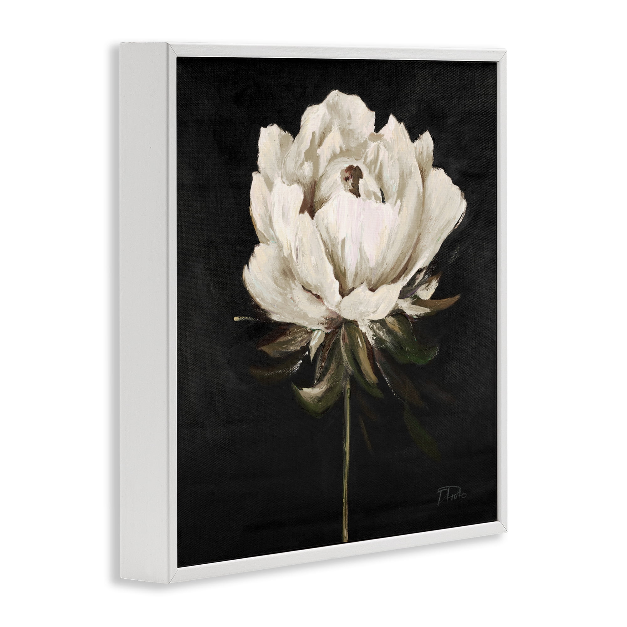 Stupell Industries Pretty Delicate Bloom on Black White Framed Giclee Art, design by Patricia Pinto