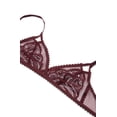 thumbnail image 2 of Calvin Klein Women's Siren Unlined Triangle Bra, Phoebe, M, 2 of 6