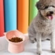 thumbnail image 1 of Cuenco para Alimentación Antideslizante Colco Comedero para Mascotas, 1 of 8