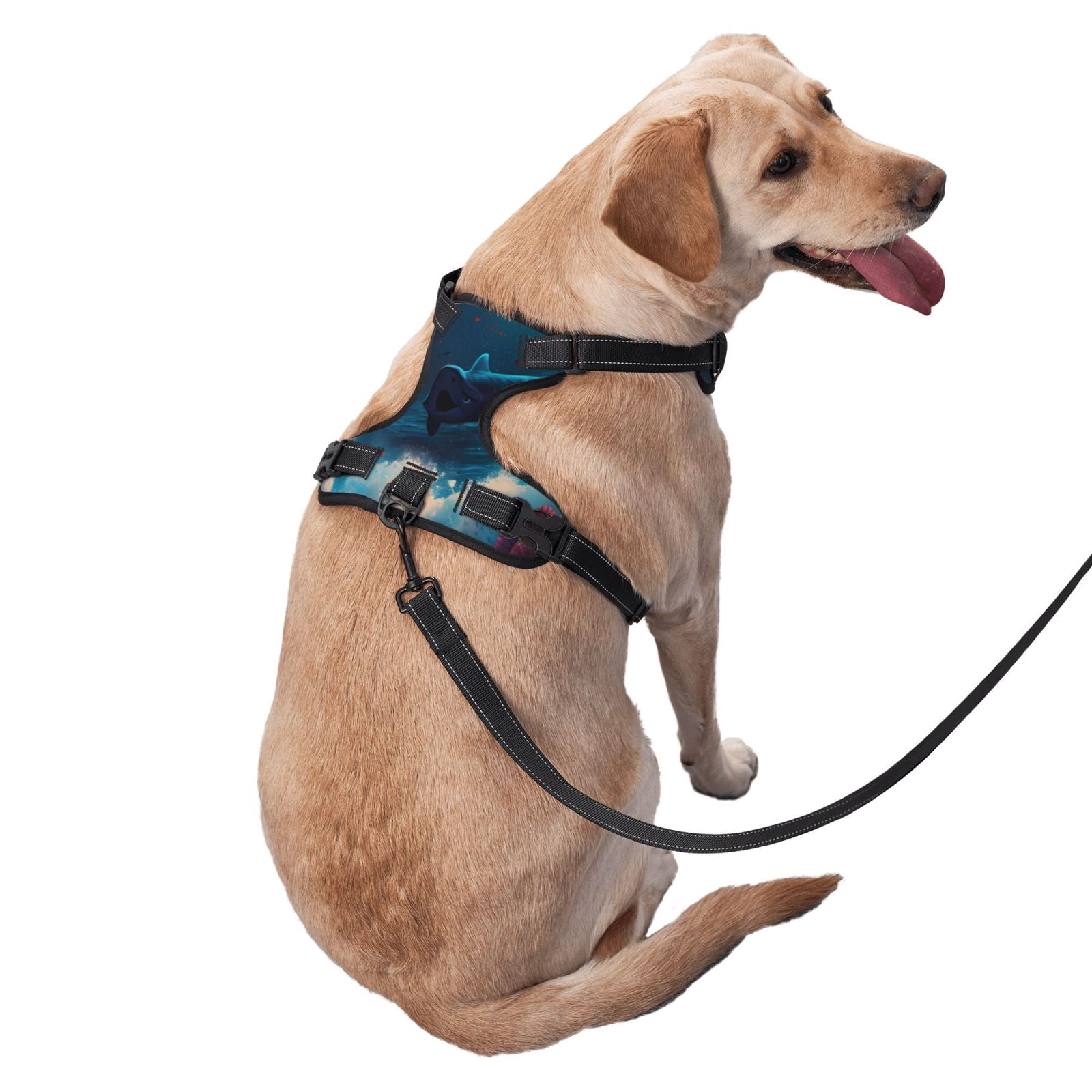 Vsdgher Fantasy Underwater Adventure Dog Harness, No-Pull Pet Harness, Dog Vest, Pet Vest for Small to Large Dogs-Large