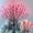 Pink, variant on 30-inch Branch Twig Lights 20 LED Branches Lights Flexible Simulation Tree Branches Decorative Light Lighted Tree Branches for Vase Decorations Indoor