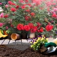 thumbnail image 4 of Miangastore Flowerpot Protective Cover Perforated Grid 1Pack 11.8X11.8X3.9in, 4 of 8
