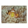 thumbnail image 1 of Ocean Cutting Board, Clown Fish Swimming in Tentacles in Pacific Ocean Bali Indonesia Marine Wildlife, Decorative Tempered Glass Cutting and Serving Board, Small Size, Beige Orange, by Ambesonne, 1 of 1
