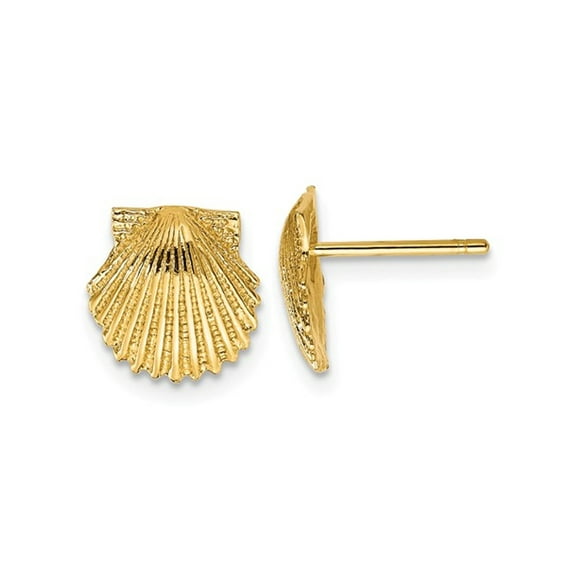 Gem & Harmony 14K Yellow Gold Polished Scallop Shell Post Earrings for Women